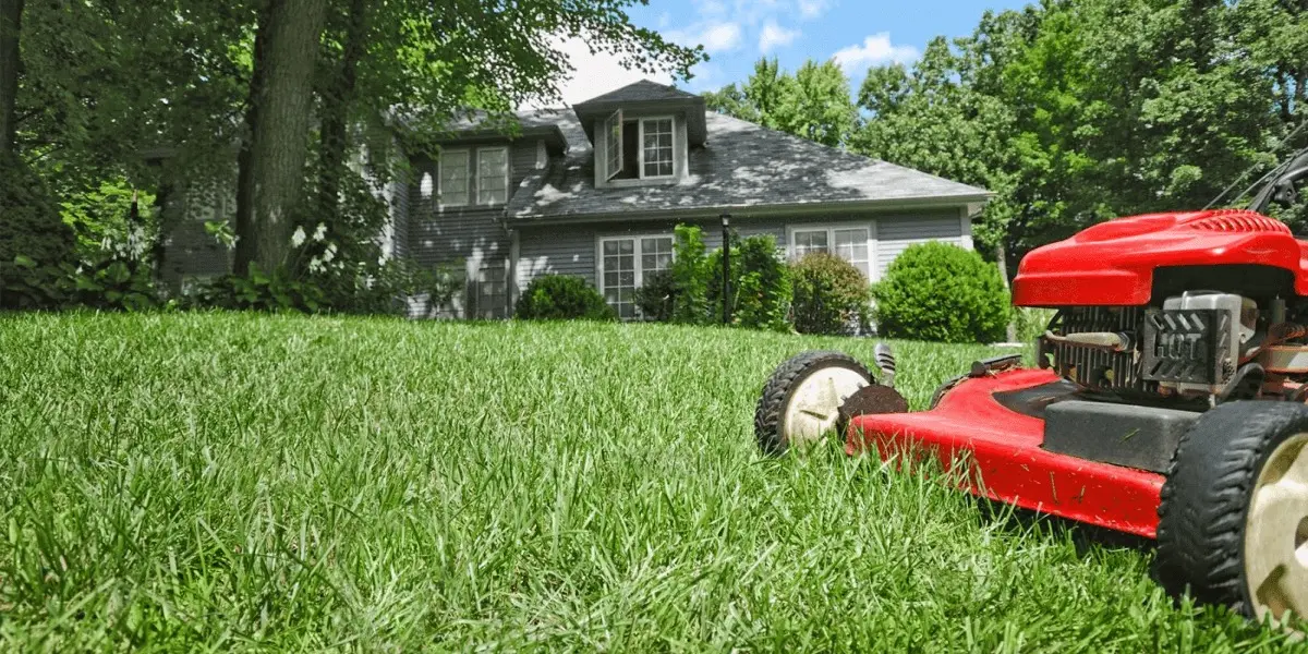 Mastering Lawn Care: Tips for a Green and Healthy Lawn